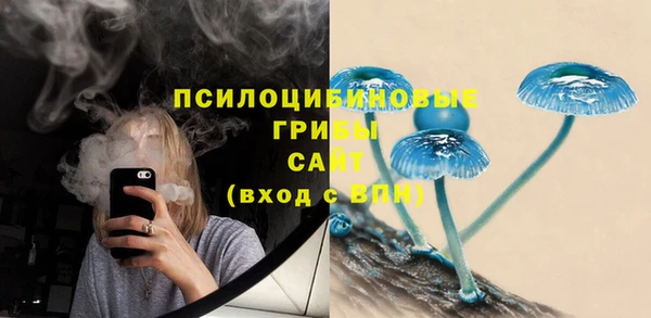 гидропоника Бугульма