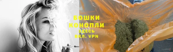 гидра Богородск