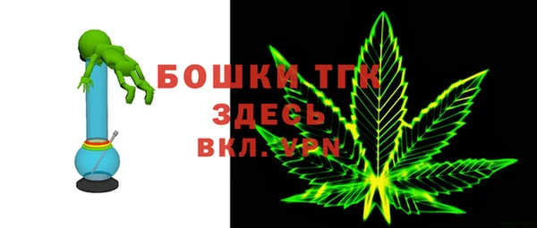 хмурый Бронницы