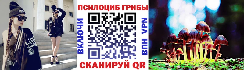 Галлюциногенные грибы Psilocybine cubensis  купить наркоту  Мончегорск 